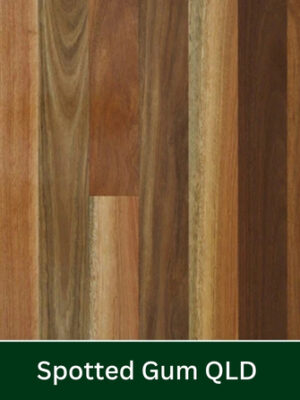 QLD Spotted Gum Timber Flooring