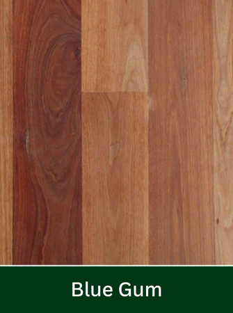 Blue Gum Timber Flooring