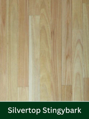 Wood floor sample showing light brown planks with a dark green label reading 'Silvertop Stingybark'